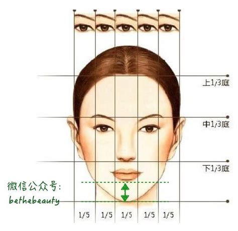 下庭飽滿|女人必看的三庭面相，教你判斷運勢的好壞